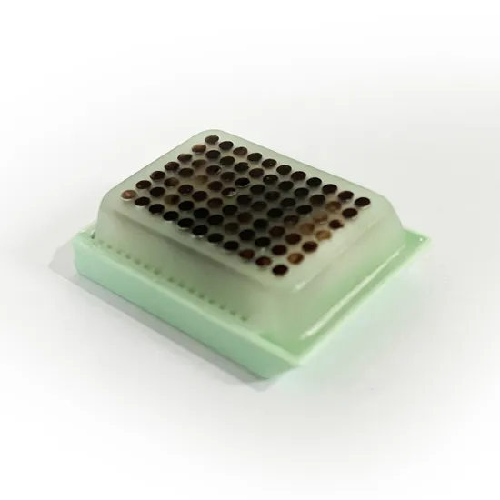 Wegwerp medische benodigdheden weefsel microarray block gebruikt voor wetenschappelijk onderzoeksmateriaalonderzoek